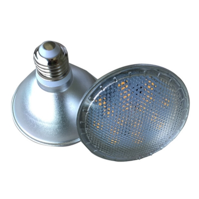 IP66 Dimmable LED PAR30 12W Lamp E27 PAR30 Reflector Light
