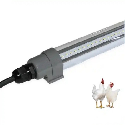 Flicker Free Dimmable IP67 Impermeable Granja de pollos Aves de corral T8 Tubo de luz 4FT Tubo LED impermeable