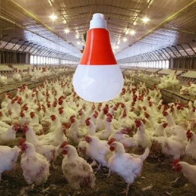 Luz de cultivo LED resistente al agua IP67 para granja de ganado avícola